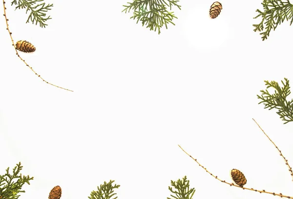 Composición navideña sobre fondo blanco. Ramitas de tuja verde, conos de pino dispuestos como corona de Navidad. Vista superior, plano . — Foto de Stock