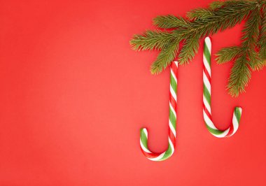 Noel kompozisyon kırmızı zemin üzerine. Çam dalları Xmas dekorasyon olarak asılı iki şekerler. Üstten Görünüm, düz yatıyordu. Metin için yer kopyalayın