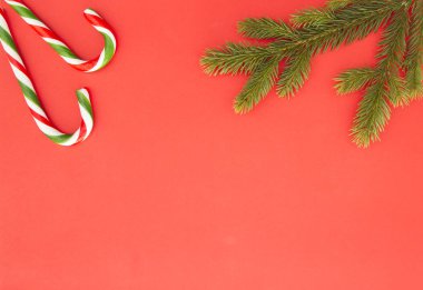 Christmas kırmızı arka plan karede. Yeşil çam dalları ve şekerler. Üstten Görünüm, düz yatıyordu. Metin için yer kopyalayın