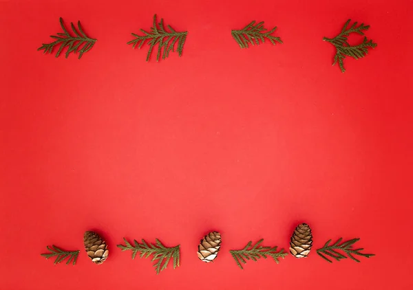 Moldura de Natal feita de galhos thuja verdes e cones no fundo vermelho. Vista superior, deitado plano. Espaço de cópia para texto — Fotografia de Stock