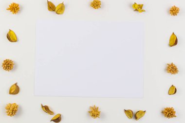 Beyaz kağıt levha, sarı kuru çiçekler tarafından çevrili bitkiler çerçeve beyaz arka plan üzerinde kenarlık. Üstten Görünüm, düz yatıyordu.