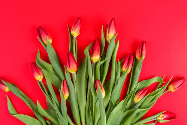 Цветочный букет тюльпанов на красном фоне с копировальным местом для текста. Вид сверху — стоковое фото