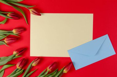 Boş kart, mavi bir zarf içerisinde ve kırmızı bahar lale çiçekleri kırmızı zemin üzerine.