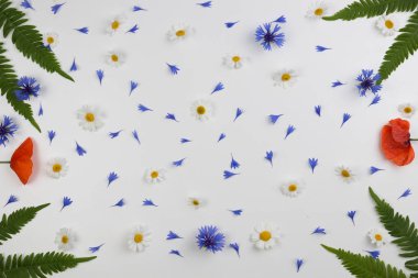 Kırmızı alan poppies, papatyalar, Peygamber ve beyaz zemin üzerine yeşil yaprakları çerçeve.