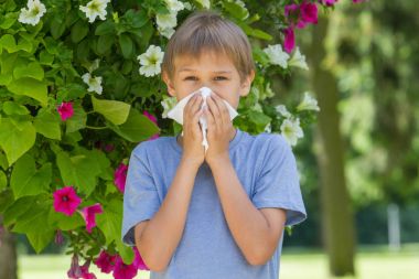 Anti. Küçük çocuk burnunu çiçek çiçekler yakınındaki esiyor