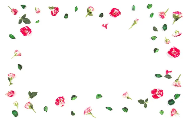 Состав цветов. Рамка из свежей розы и сушеных цветов. Плоский, вид сверху — стоковое фото