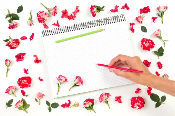 Dibujo a mano de mujer en cuaderno en espiral con lápices de colores y marco de rosa . — Foto de Stock