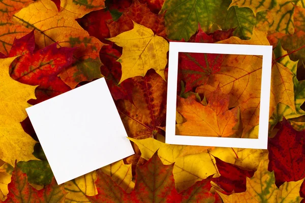 Kreatives Layout aus bunten Herbstblättern mit weißem Rahmen und leerer Karte — Stockfoto