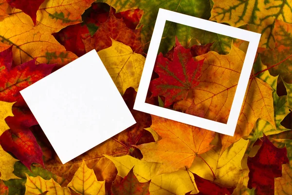 Kreatives Layout aus Herbstblättern mit weißem Zettelpapier und leerem Rahmen — Stockfoto