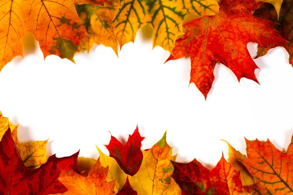 Rote, gelbe und orangefarbene Herbstblätter auf weißem Hintergrund — Stockfoto