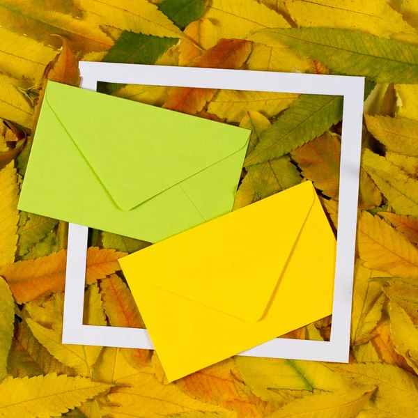 Осенью опадают листья с белой пустой рамой и двумя конвертами — стоковое фото