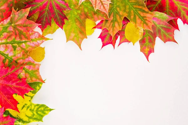 Bunte Herbstblätter auf weißem Hintergrund. — Stockfoto