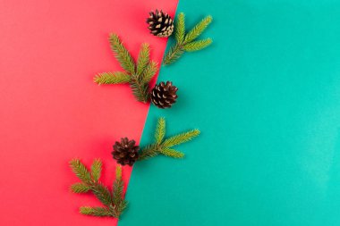 Noel kompozisyon. Köknar ağaç dalları ve çam kozalakları kırmızı ve yeşil zemin üzerine düzenlenmiştir. Üstten Görünüm, düz yatıyordu.