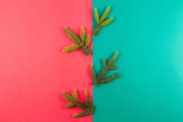 Fenyő fa ága a vörös és zöld háttér. Karácsonyi összetétele — Stock Fotó
