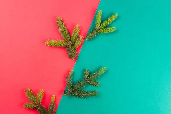 冷杉树分支在红色和绿色背景。圣诞作文 — 图库照片