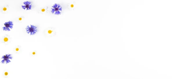 Flores de milho e camomila sobre fundo branco. Deitado plano, vista superior — Fotografia de Stock