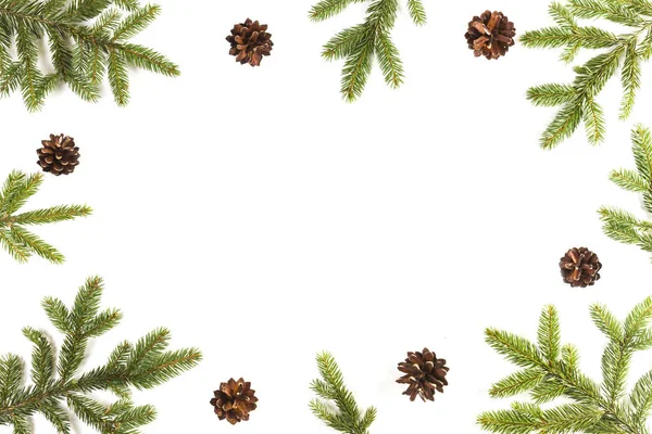 モミの枝と白い背景の上の松ぼっくりクリスマス背景 — ストック写真