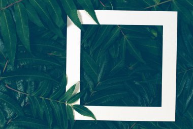 Kağıt kart notlu yeşil yapraklardan yapılmış yaratıcı bir düzen. Düz yatıyordu.