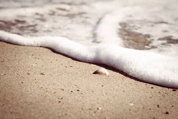 Weiche Welle des Meeres am Sandstrand mit Muscheln — Stockfoto