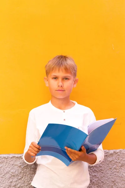 Menino com caderno aberto fazendo lição de casa da escola — Fotografia de Stock