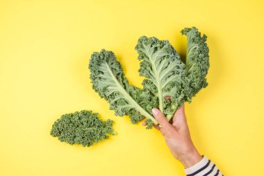 Kale bir sürü tutan kadın el sarı arka plan üzerinde bırakır