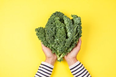 Kale bir sürü tutan kadın el sarı arka plan üzerinde bırakır