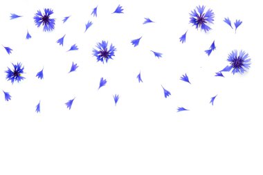 Beyaz zemin üzerine mavi Peygamber çerçeve