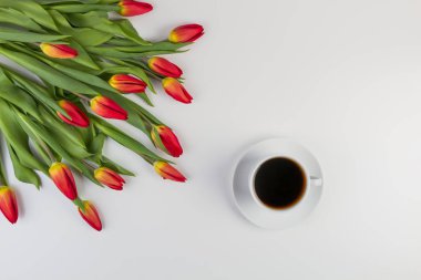 Bahar çiçek Lale ve beyaz arka plan üzerinde kahve.