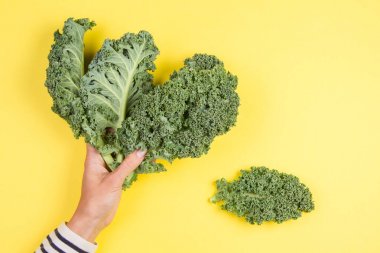 Kale bir sürü tutan kadın el sarı arka plan üzerinde bırakır