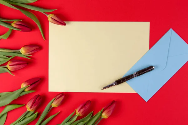 Blank card, pen, blue envelope and red spring tulips flowers on red background.