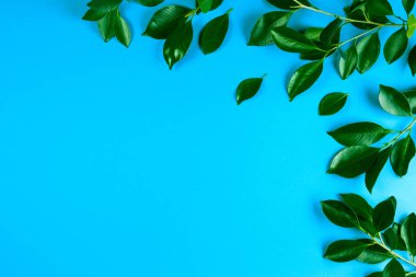 Yeşil ağaç yaprakları çerçeve mavi arka plan ile