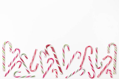 Şeker kamışları beyaz arka planda sınır çerçevesi. Üst görünüm, alanı kopyala