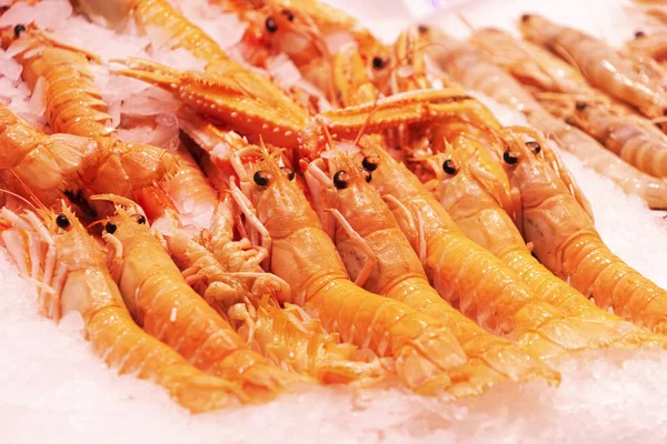 Vue du dessus des crevettes exposées sur la glace dans le magasin du marché des pêcheurs sur le marché espagnol — Photo