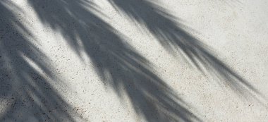 Beton kabartma arkaplanda gölge palmiye yaprakları