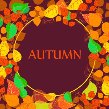 sonbaharda çiçek arka plan