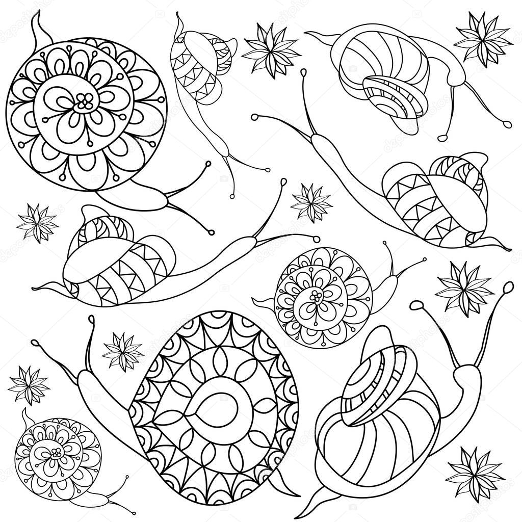 Hand-drawn snail with flowers.