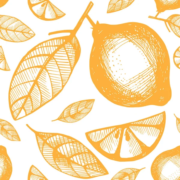 Beyaz bir arka plan üzerinde narenciye meyve ile Seamless Modeli.