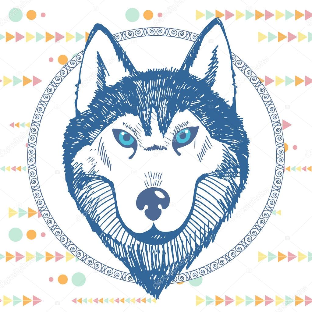 Hand-drawn portrait of a husky in a circle