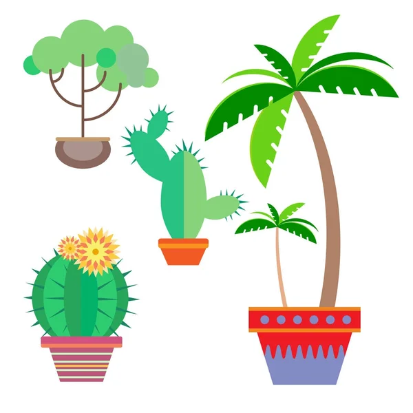 Potted plant in a flat style on a white background — Stock Vector