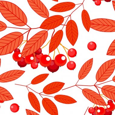 Dikişsiz sonbahar desen kırmızı, turuncu Ashberry yaprakları ve beyaz bir arka plan üzerinde meyveleri. Vektör.