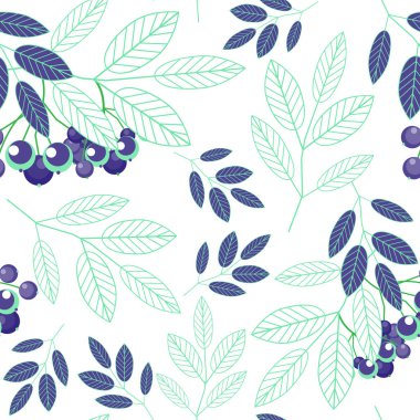 Botanik seamless modeli soyut mavi yeşil yaprakları ve beyaz bir arka plan üzerinde meyveleri. Vektör