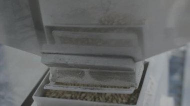 Malt sanayi taşlama