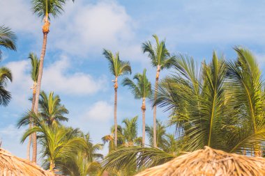 Punta cana plaj arka planlar