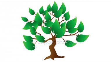 Ağaç, yaprak, organik, eco, çekimde yaprak