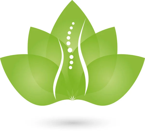 Person, Wirbelsäule und Blätter, Orthopädie und Frauenarzt-Logo — Stockvektor