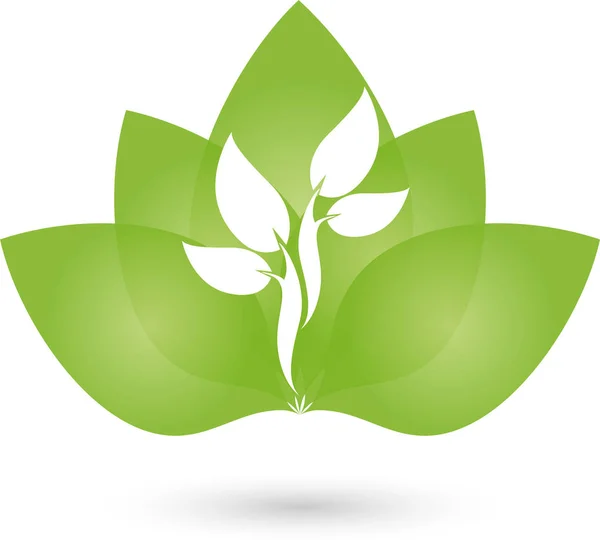 Veel bladeren en plant, Wellness- en Spa-logo — Stockvector