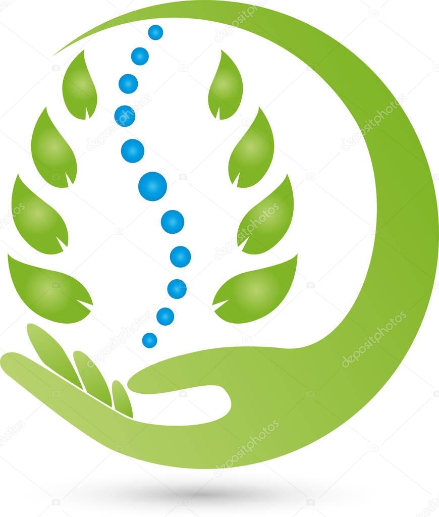 Two hands and leaves, orthopaedist and naturopathic logo