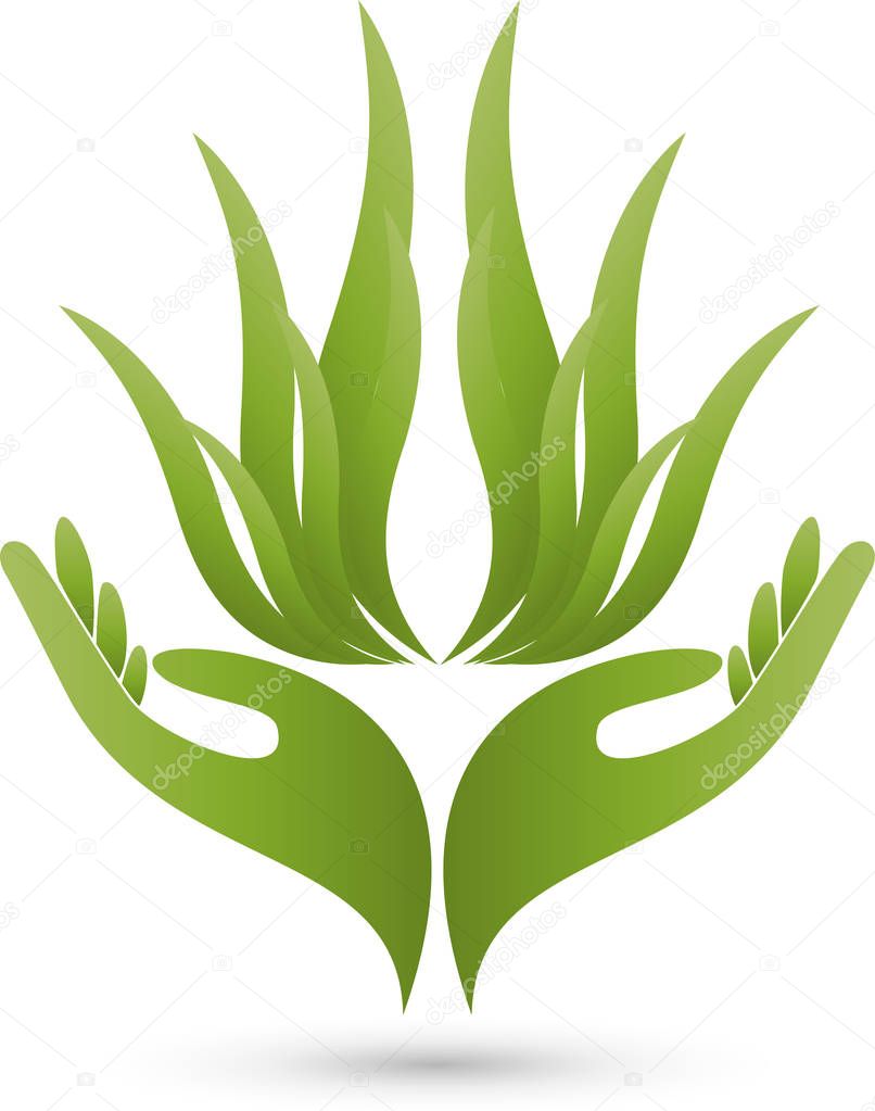 Two hands and leaves, wellness and naturopathic logo