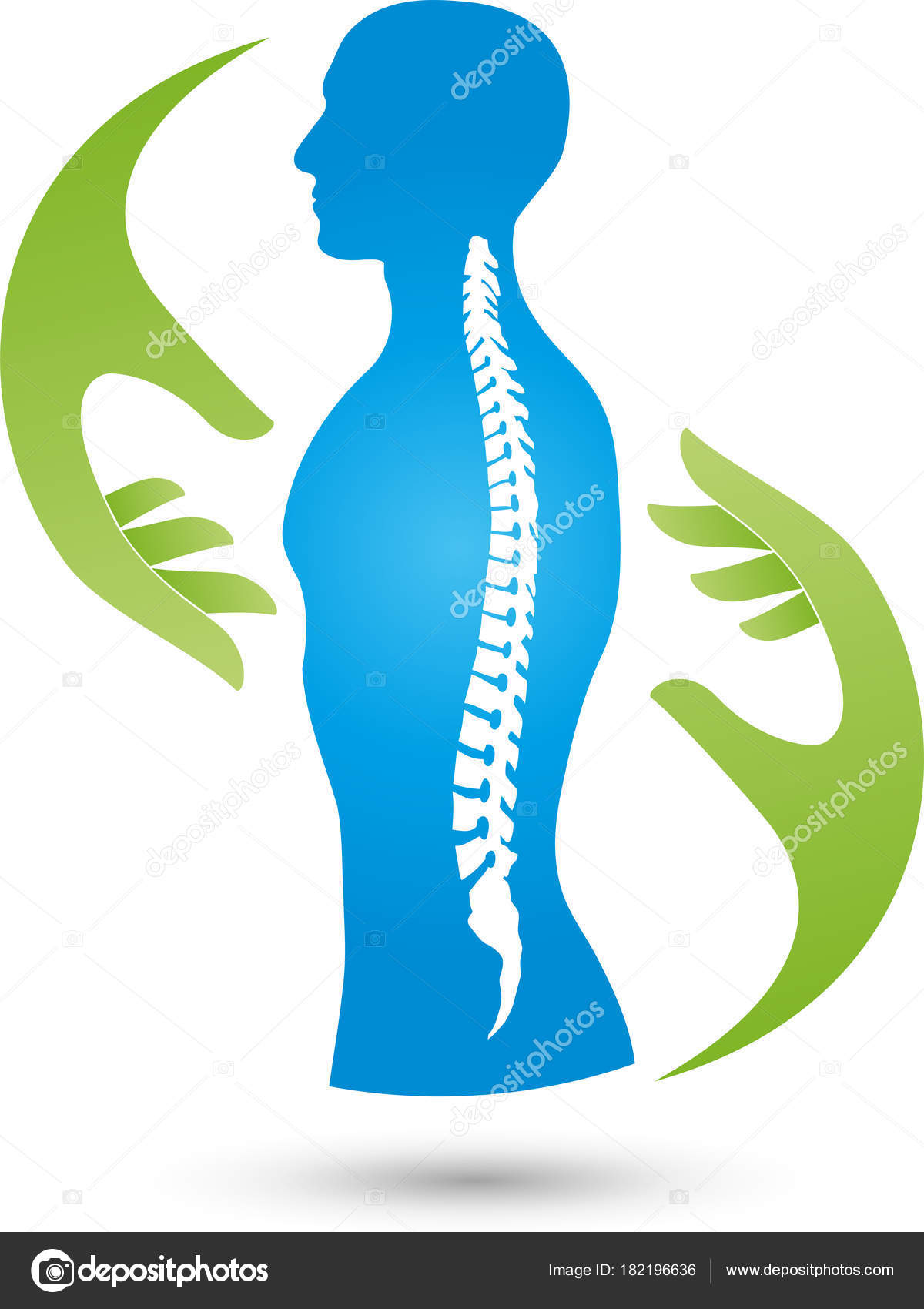 Ortopedia Fisioterapia Columna Vertebral Manos Logotipo Vector de stock  #182196636 de ©waldemar-hoelzer, image size:1200x1700