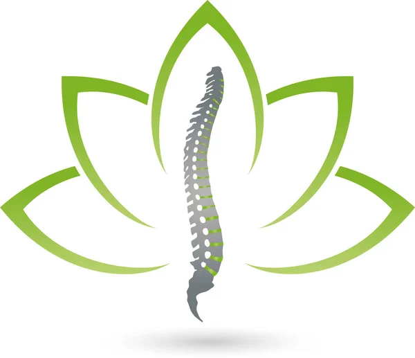 Ortopedi Fisioterapi Tulang Belakang Naturopath Logo - Stok Vektor